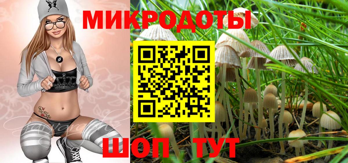 Псилоцибиновые грибы Cubensis Воткинск
