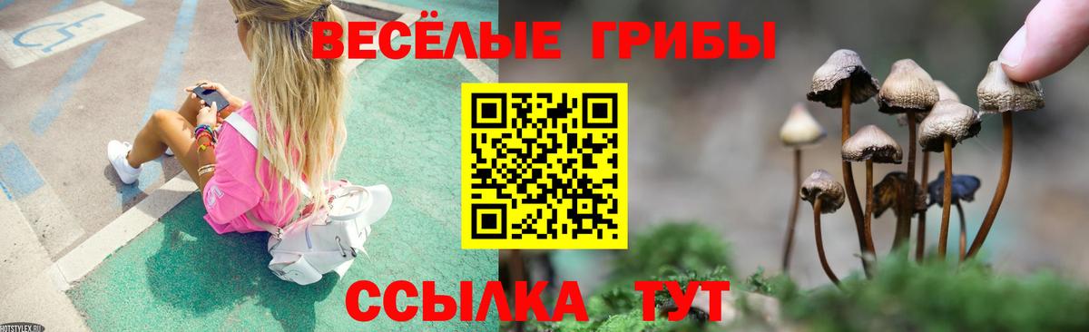 Воткинск  Псилоцибиновые грибы прущие грибы  Галлюциногенные грибы ЛСД  Вход с VPN 